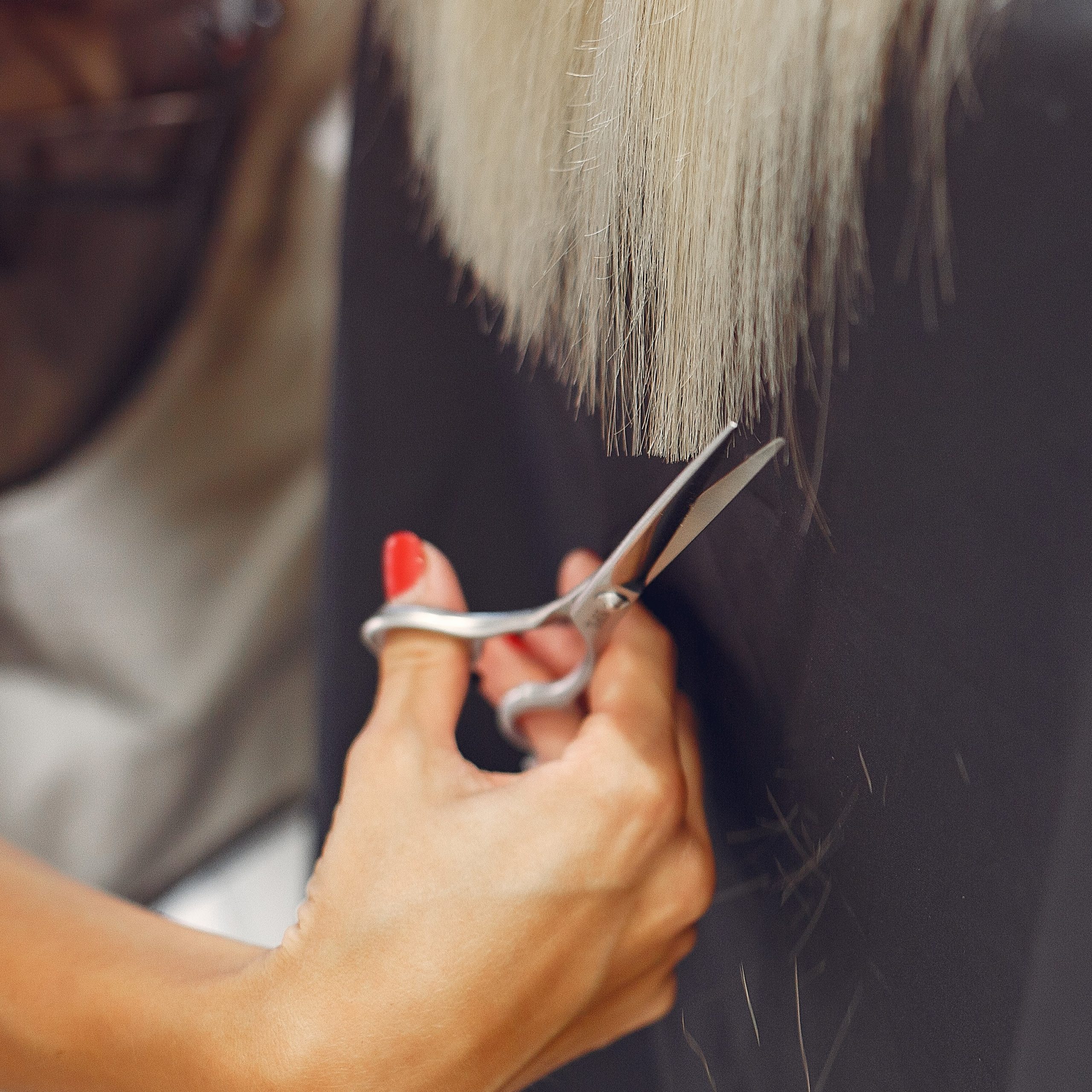 Hairdresser cut hair her client in a hair salon